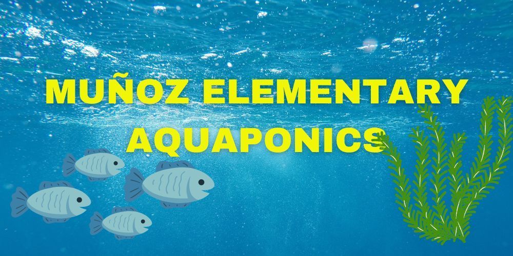 Muñoz Elementary Aquaponics